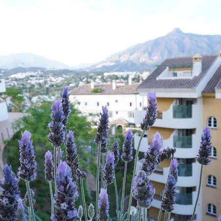 Apartment Cozy In Puerto Banus